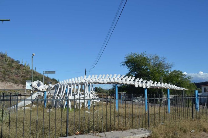 1 (13) [Desktop Auflösung]