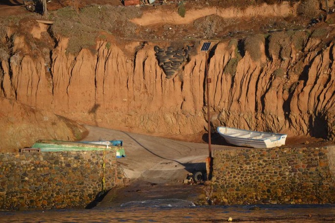 1 Mexiko Ensenda Turtle (11)