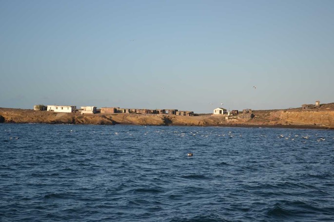 1 Mexiko Ensenda Turtle (21)