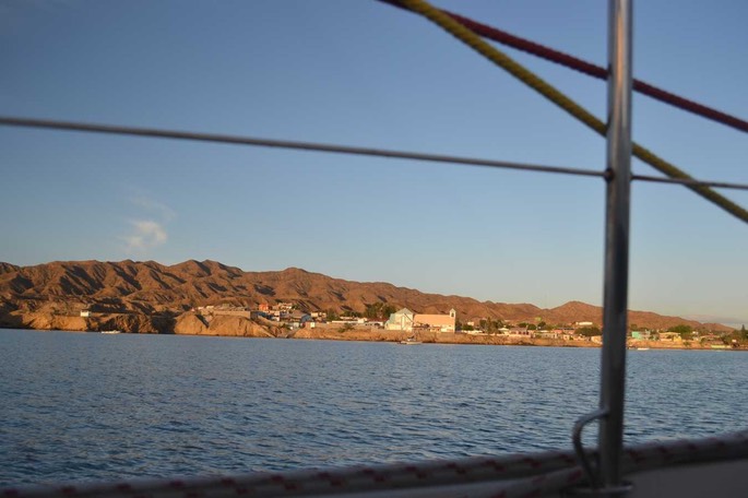 1 Mexiko Ensenda Turtle (27)