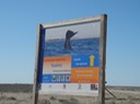 1 San Ignacio Wale (3) [Desktop Auflösung]