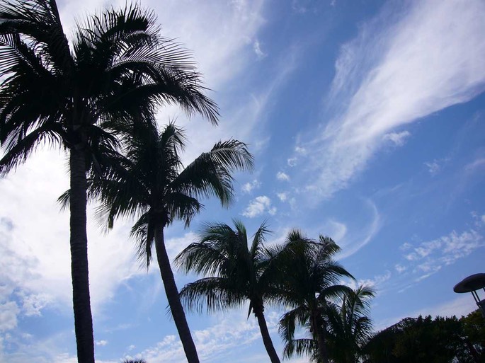 31 8 [Desktop Auflösung]