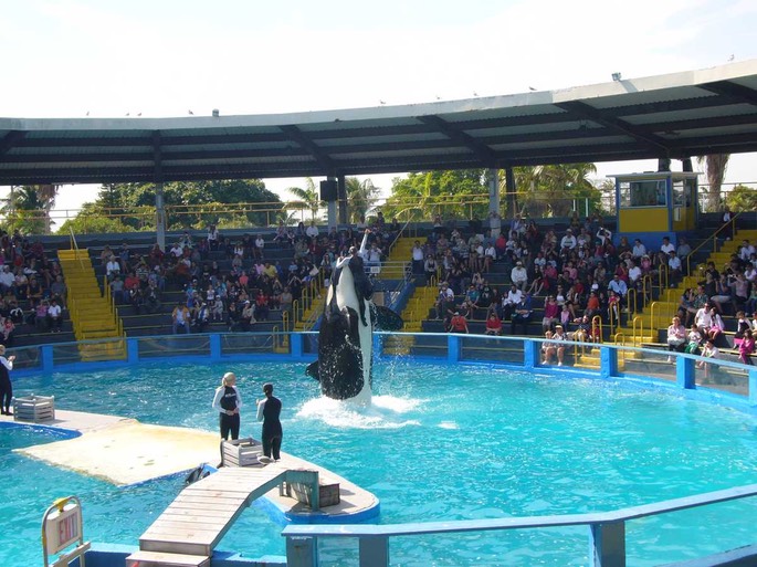 31 Orka 2 [Desktop Auflösung]