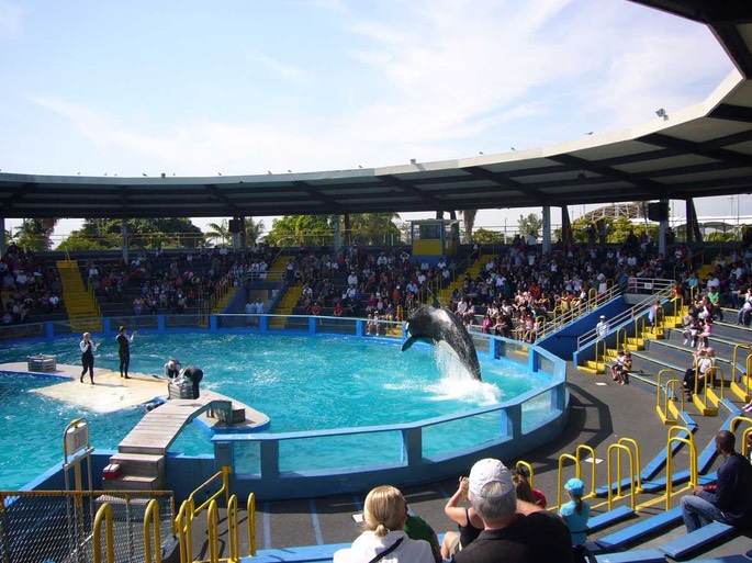 31 Orka 3 [Desktop Auflösung]