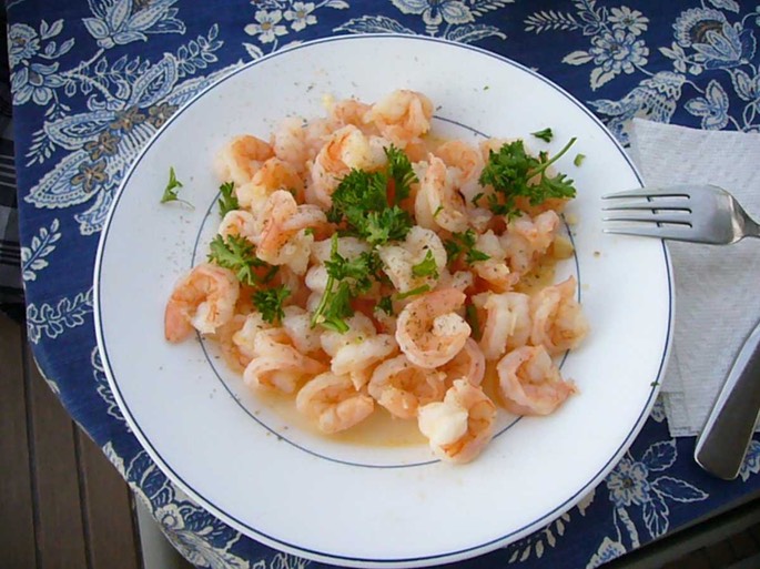 A Shrimps [Desktop Auflösung]