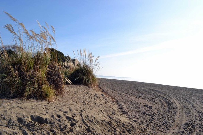 Alameda 05 [Desktop Auflösung]