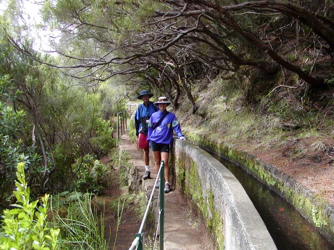 annaundhakanundlevada