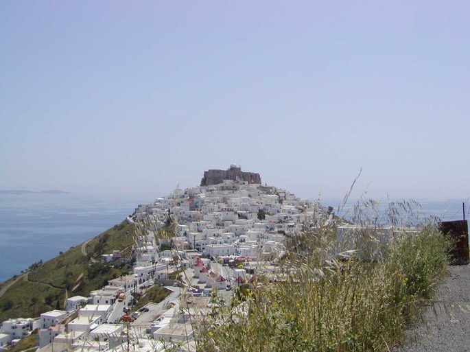 astiopalaea5