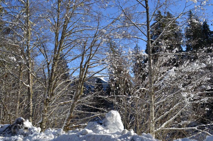 BE Mt Baker u Chuckanut Bay (8) [Desktop Auflösung]