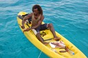 Bequia Fisch [Desktop Auflösung]