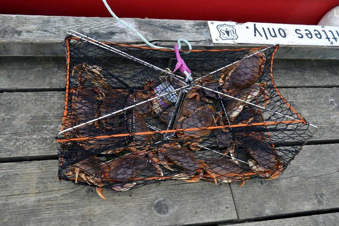 Berg Bay Krabben 4 [Desktop Auflösung]