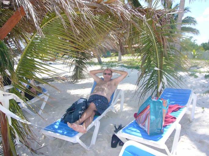 Cayo Levisa Fritze unter Palmen [Desktop Auflösung]