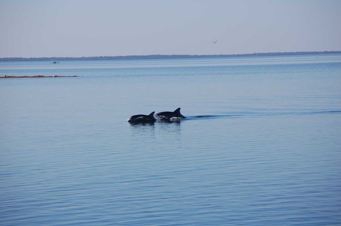 CC 8 [Desktop Auflösung]