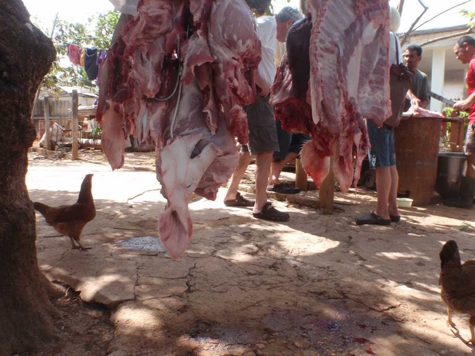 Cuba Fleischmarkt 2 [Desktop Auflösung]