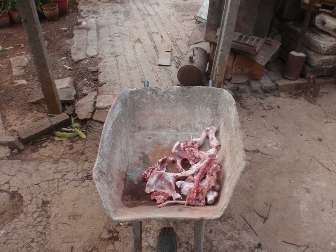 Cuba Fleischmarkt 3 [Desktop Auflösung]