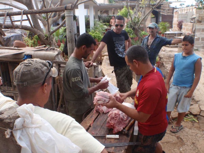 Cuba Fleischmarkt 4 [Desktop Auflösung]