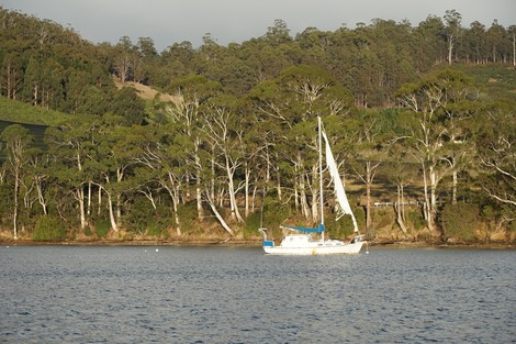 DSC01666