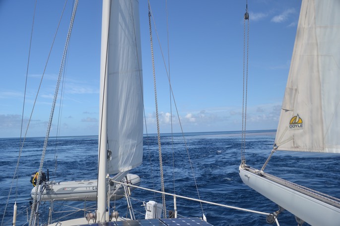 DSC_0035.jpg