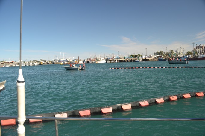 DSC_0474.jpg
