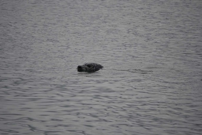 Fishermans Bay HP 2 [Desktop Auflösung]