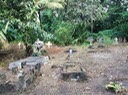 Friedhof1
