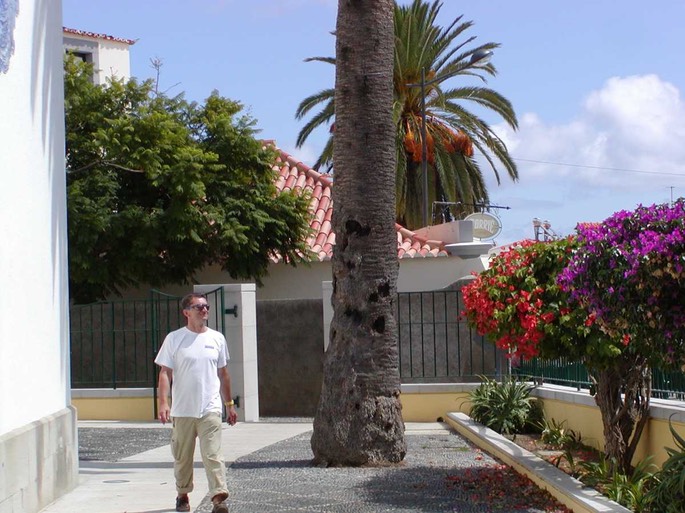 gertseitengassedesktopaufloesung