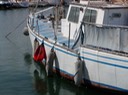 gibraltarfender
