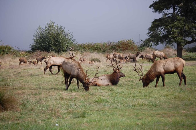 HP 1 CC 16 [Desktop Auflösung]