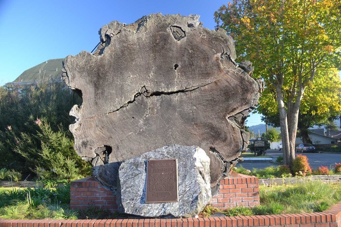 HP 1 CC 23 [Desktop Auflösung]