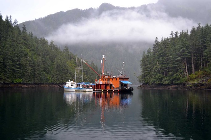 HP 2 Fischer [Desktop Auflösung]