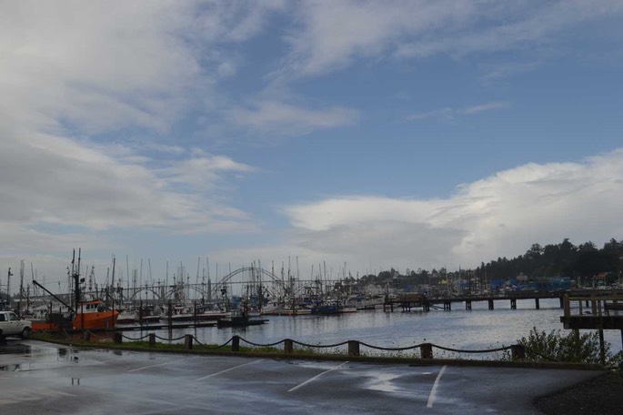 HP Bayside [Desktop Auflösung]