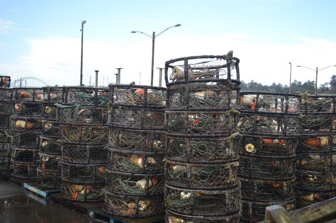 HP Crabpots [Desktop Auflösung]
