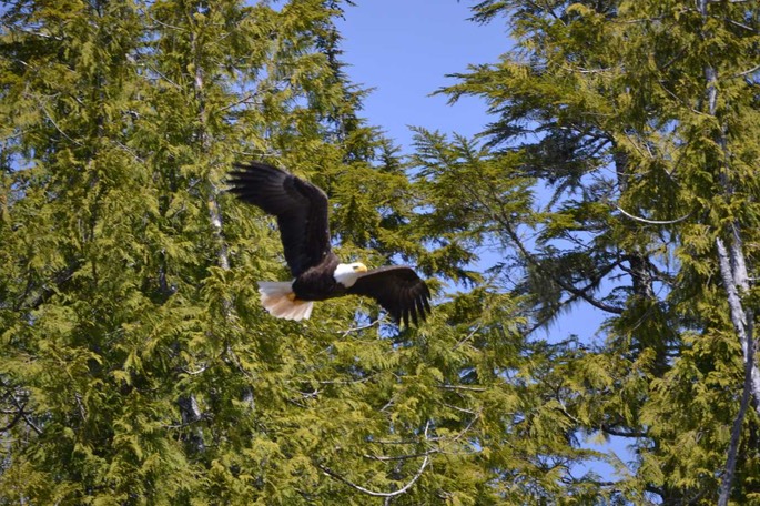 HP Millbrook 2 [Desktop Auflösung]