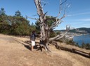 im Washington State Park (1)
