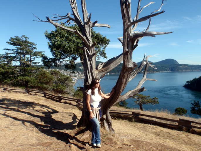 im Washington State Park (4)