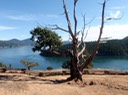 im Washington State Park (6)