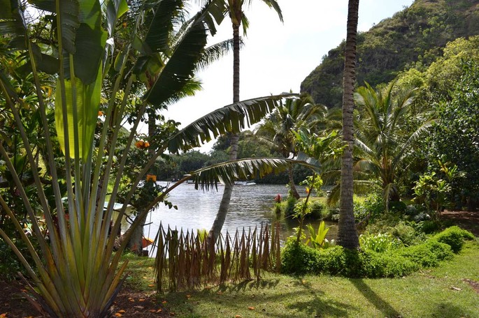 Kauai Aussicht 2 [Desktop Auflösung]