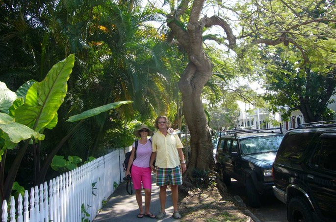 Key West Hannes u Sabine Dschungel [Desktop Auflösung]