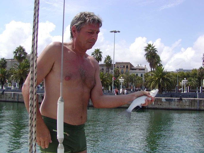 kurtmitfischdesktopaufloesung