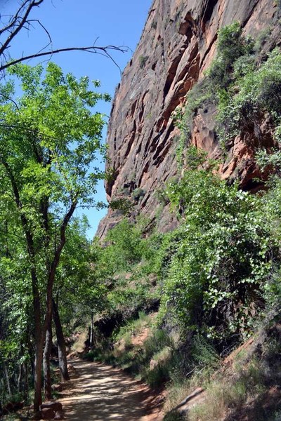 Las Vegas und Zion (23)