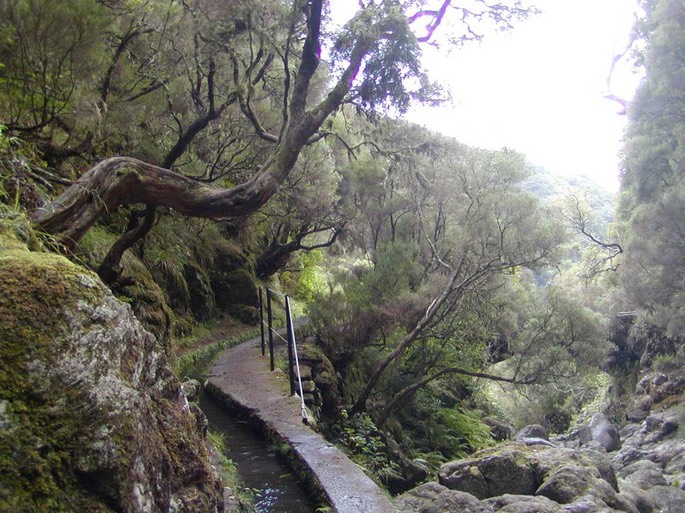 levada