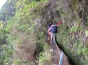 madeira8