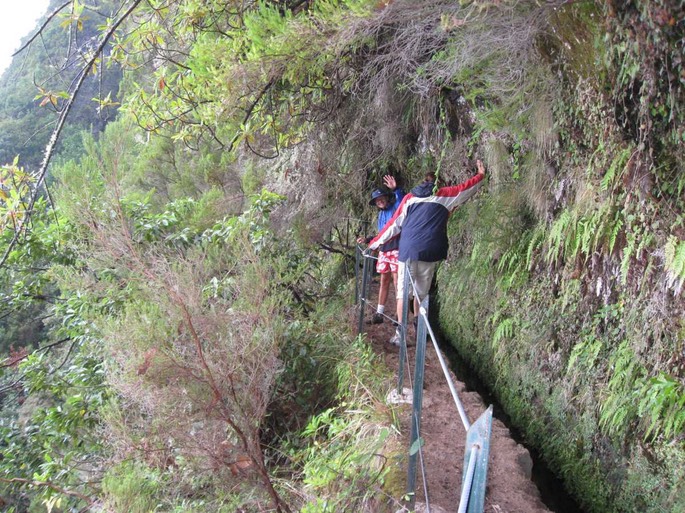 madeira8