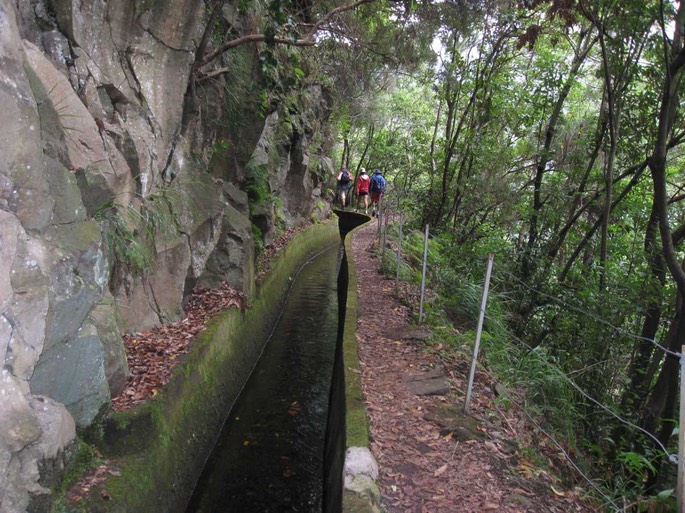 madeirawegindenbergen