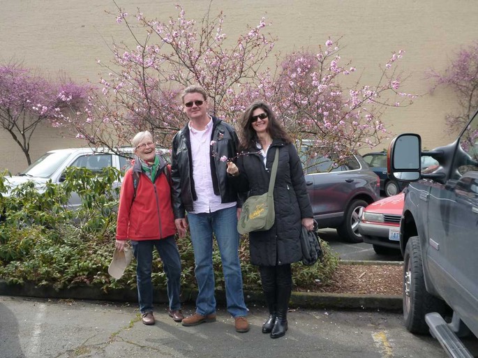 Mandelbaum [Desktop Auflösung]