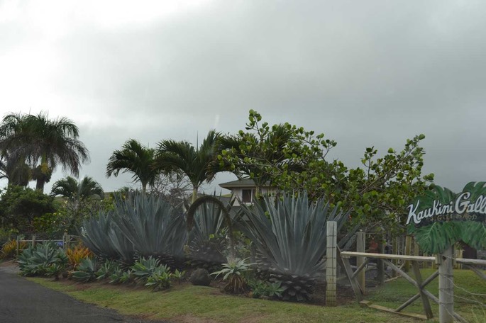 Maui 17 [Desktop Auflösung]