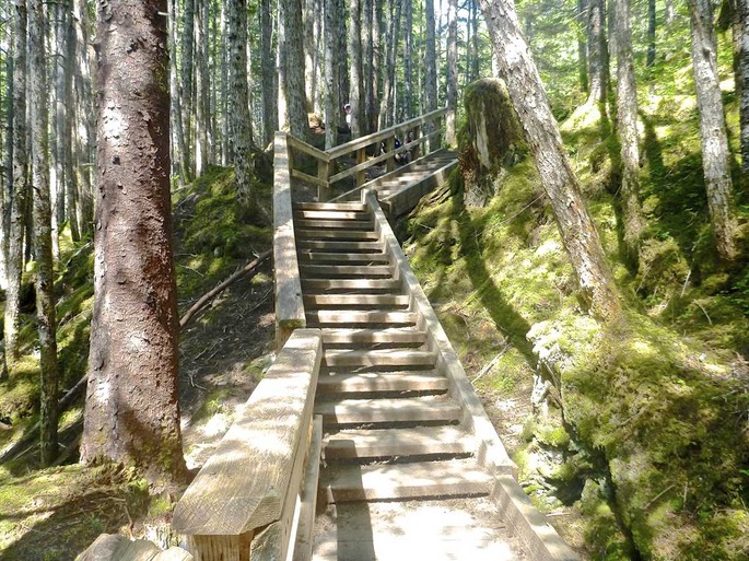 Mendenhall Gletscher (4) [Desktop Auflösung]