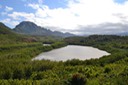 N Fishpond 1 [Desktop Auflösung]