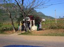 Pinar del Rio 13 [Desktop Auflösung]