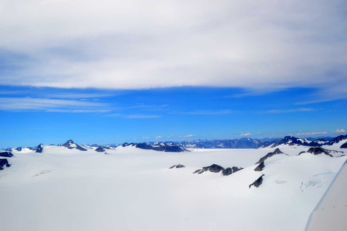 Piper 15 [Desktop Auflösung]